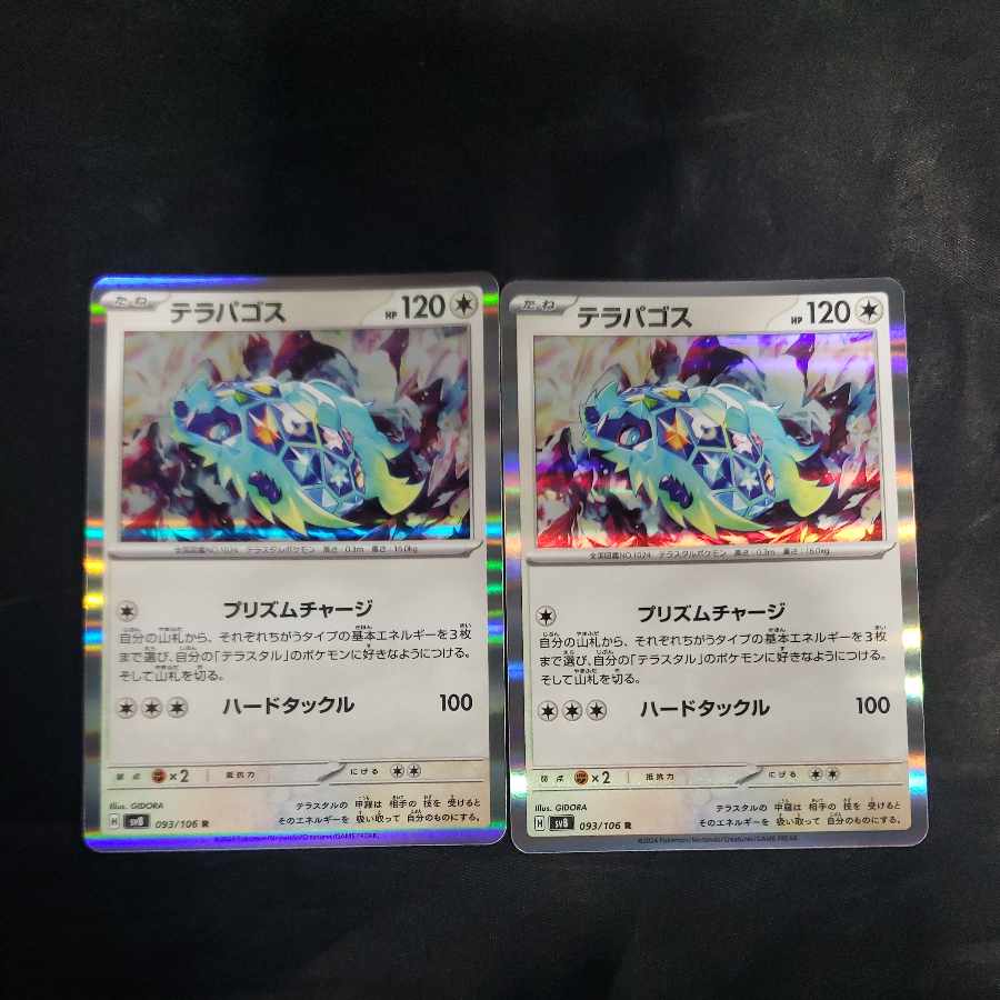 Terrapagos R 093/106 (set of 2)