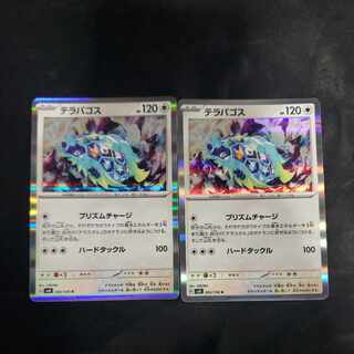 Terrapagos R 093/106 (set of 2)