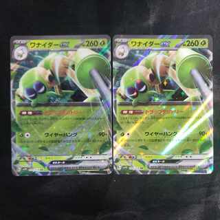 Wanider ex RR 008/078 (set of 2)