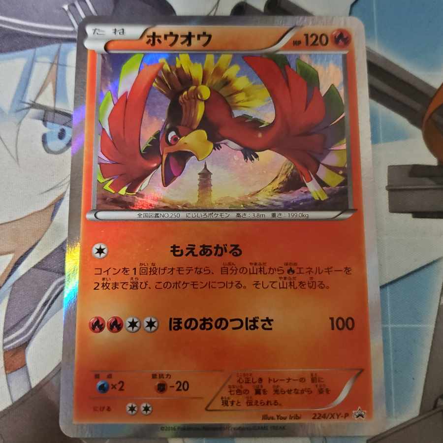 PSA9 ホウオウ: プロモ[XY-P 224/XY-P] ホウオウ PROMO 224/XY-P (Used) （1559005386）| magi -TCG