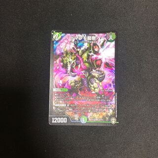 ドマンモ龍樹1枚