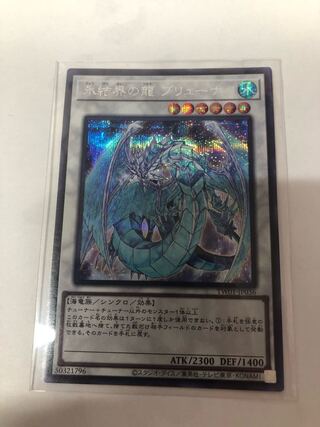 氷結界の龍ブリューナク　psa9 氷結界の龍 ブリューナク【遊戯王トレカお買得価格通販：トレコロ】