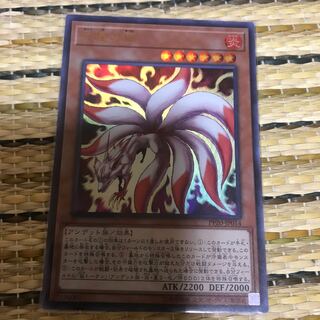 マドレース 九尾の狐 UR