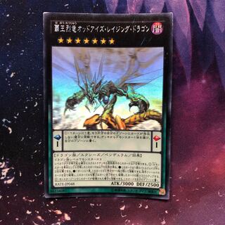 y3 覇王烈竜オッドアイズ・レイジング・ドラゴン HR  1枚　名もなき
