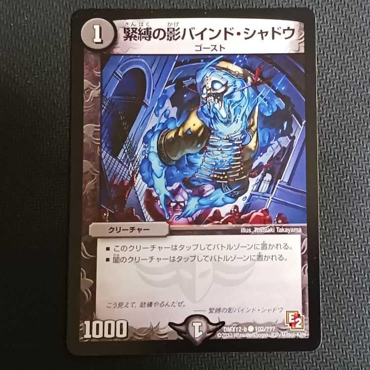 Shadow bound shadow of bondage C 102/????