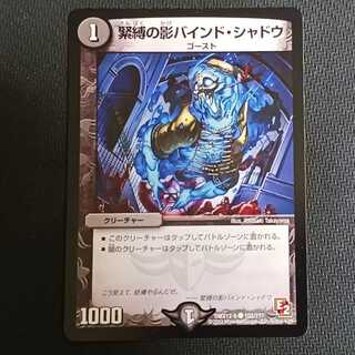 緊縛の影バインド・シャドウ C 102/???