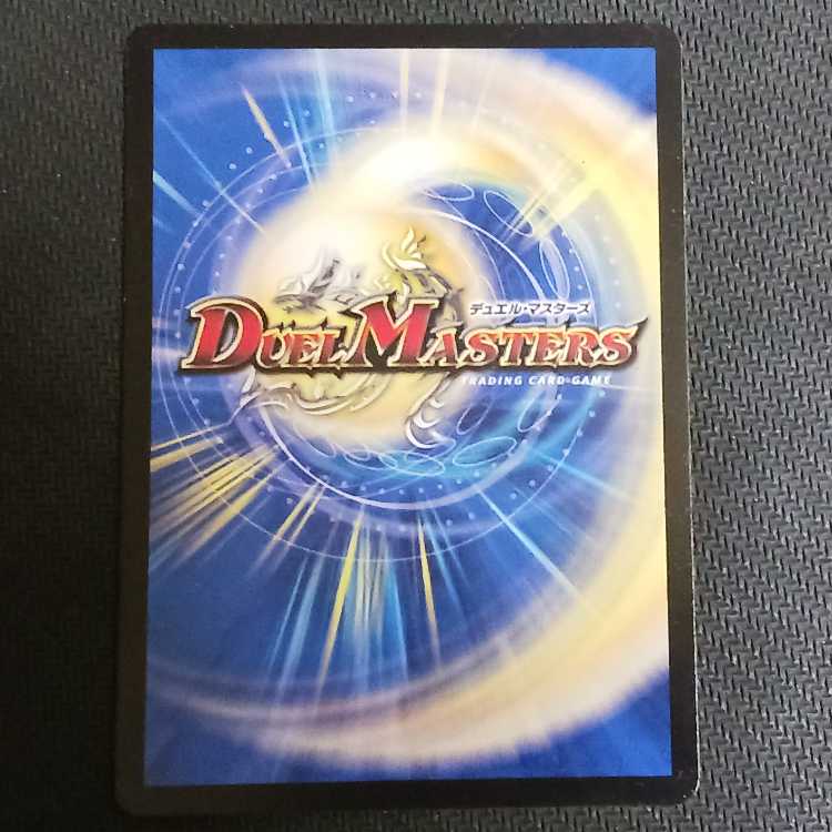 Shadow bound shadow of bondage C 102/????