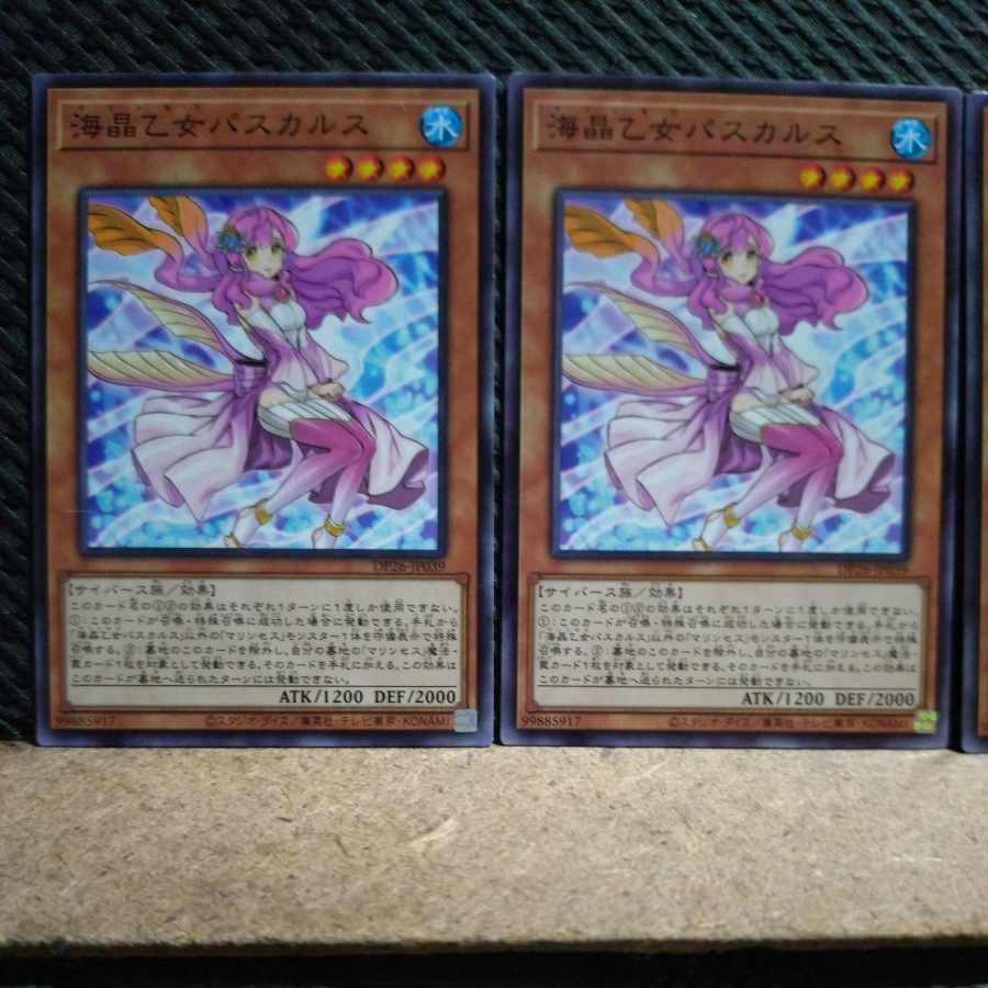 【ぽぽたん】遊戯王  4681  海晶乙女パスカルス ノーマル  ３枚
