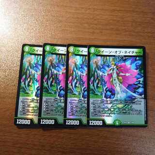 クイーン・オブ・ネイチャー VR 13/68