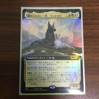 離れられない二匹、リンとセリ