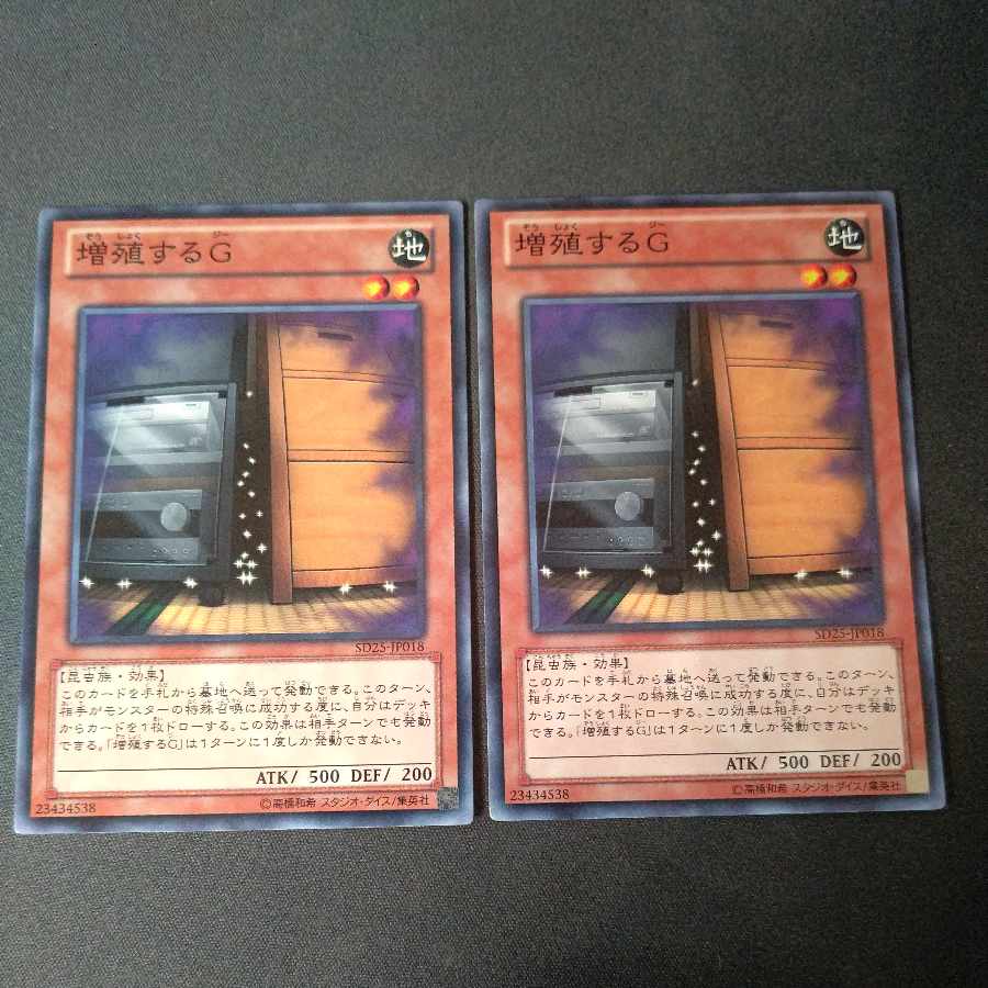 Maxx "C" Normal, set of 2