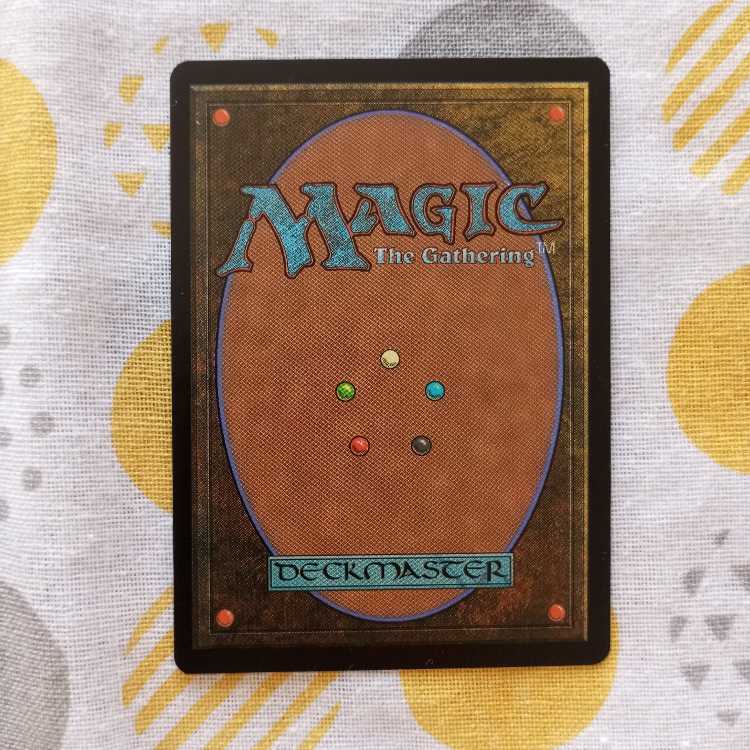 陽景学院の使い魔