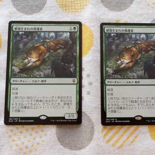 僻境生まれの保護者