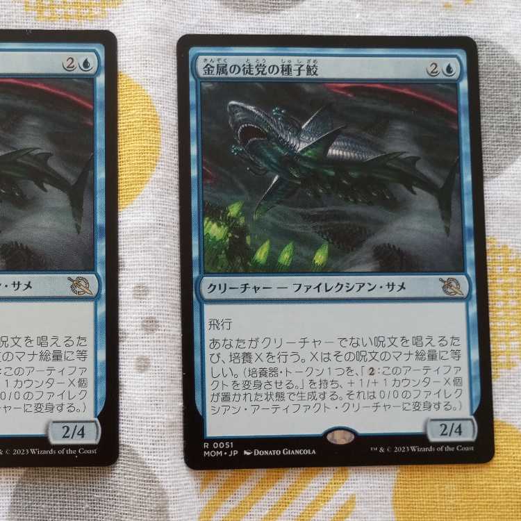 金属の徒党の種子鮫