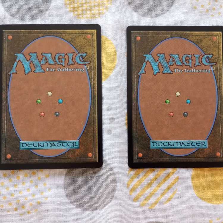 金属の徒党の種子鮫