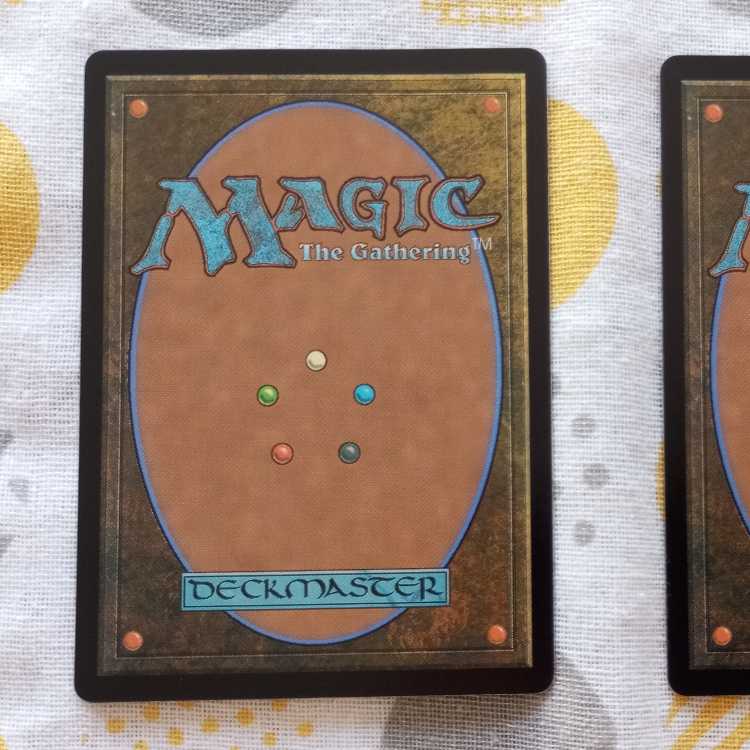 金属の徒党の種子鮫