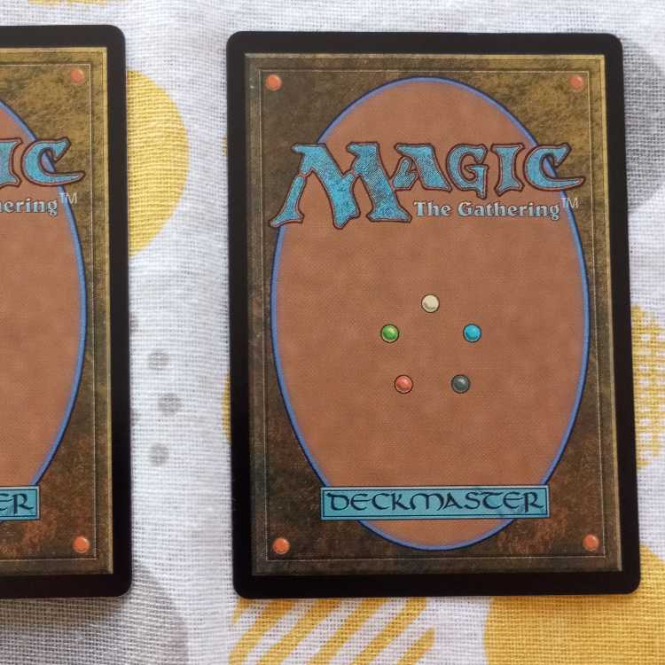 金属の徒党の種子鮫