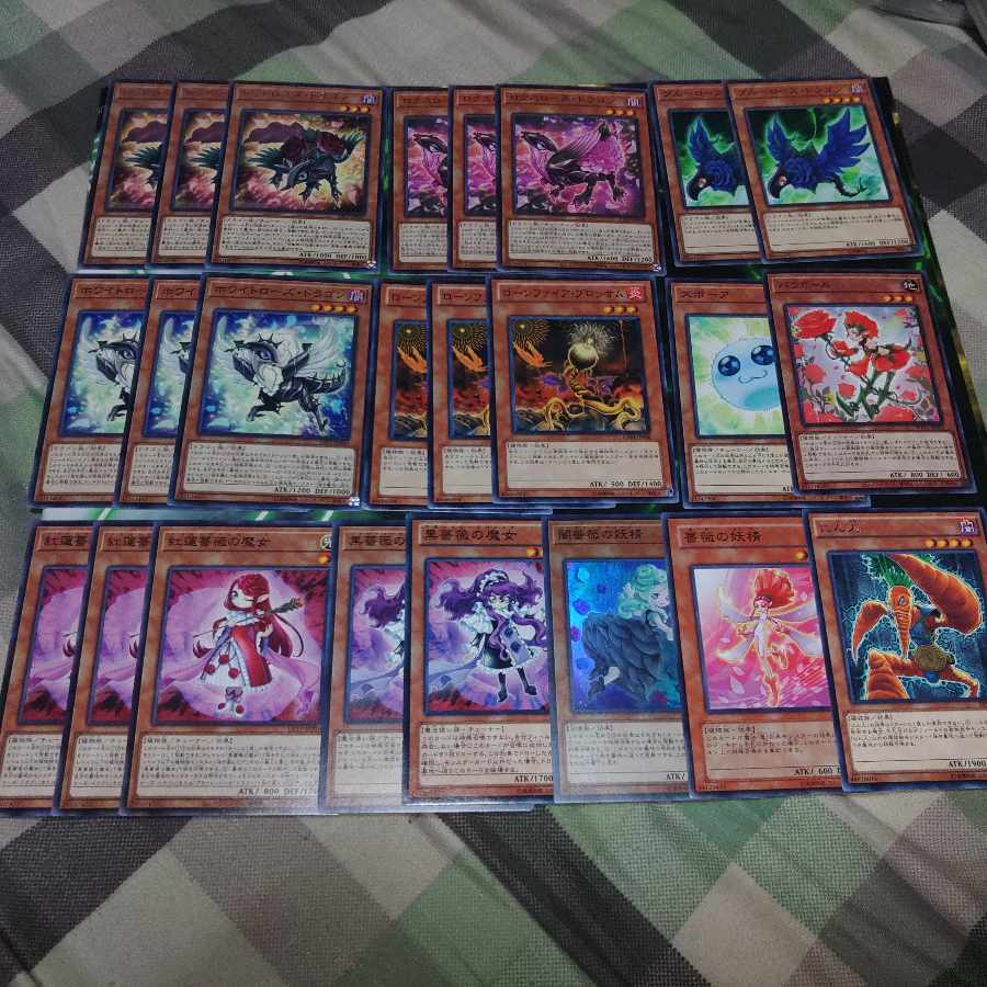 Rose Dragon Deck Parts Black Garden Dragon Tribe Botanical Tribe R-Gyo H-Go 16Night Aki Yu-Gi-Oh!