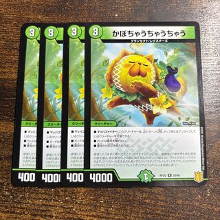 かぼちゃうちゃうちゃう R 20/95