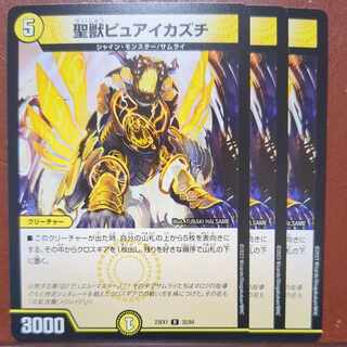 Holy Beast Pure Ikazuchi R 32/84