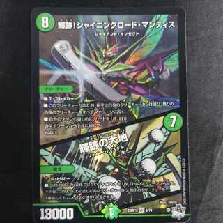 Shining Road Mantis! Shining Lord Mantis｜The Land of Bright Traces VR 6/74