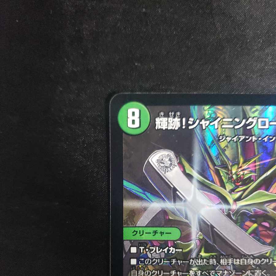 Shining Road Mantis! Shining Lord Mantis|The Land of Bright Traces VR 6/74