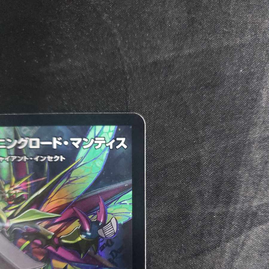 Shining Road Mantis! Shining Lord Mantis|The Land of Bright Traces VR 6/74