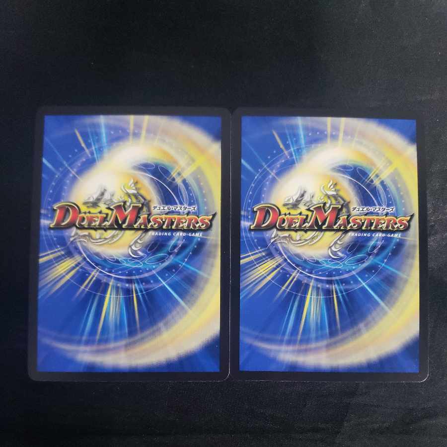 Ryusei Sosha "B-Ga" Liza SR 13/130 (set of 2)