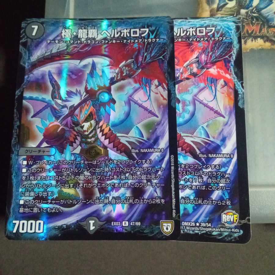 Discounted set, set of 2, Herborov, Ryuha