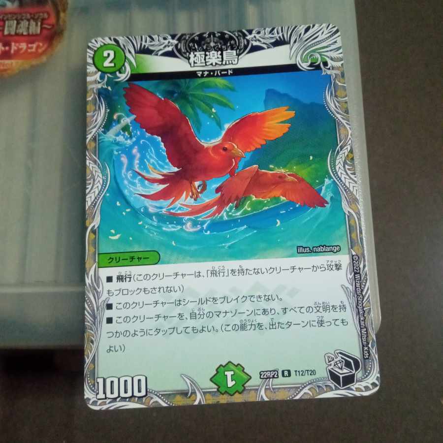 Set Discount Birds of Paradise (Black Treasure) R T12/T20