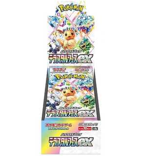 テラスタルフェス ex 新品 未開封　2カートン テラスタルフェス ex BOX 未開封カートン 1カートン - メルカリ