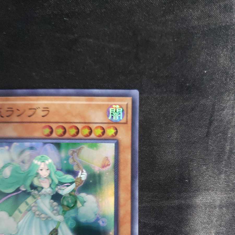 The Weather Painter Aurora Super Rare JP034