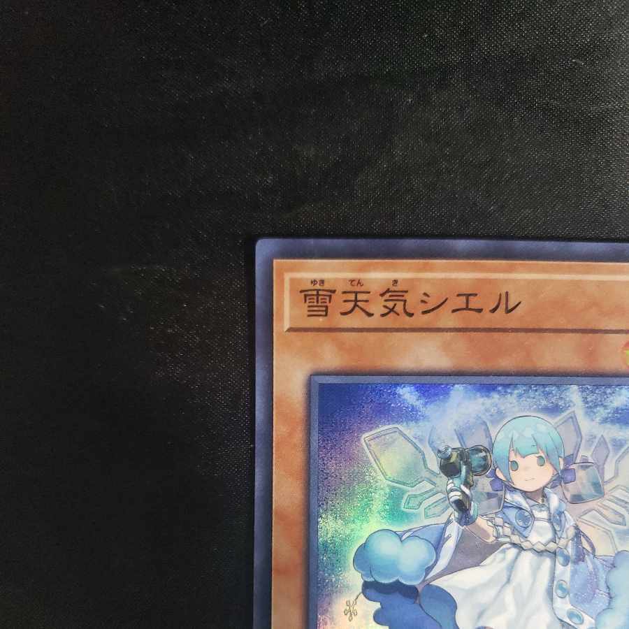 The Weather Painter Snow Super Rare JP029