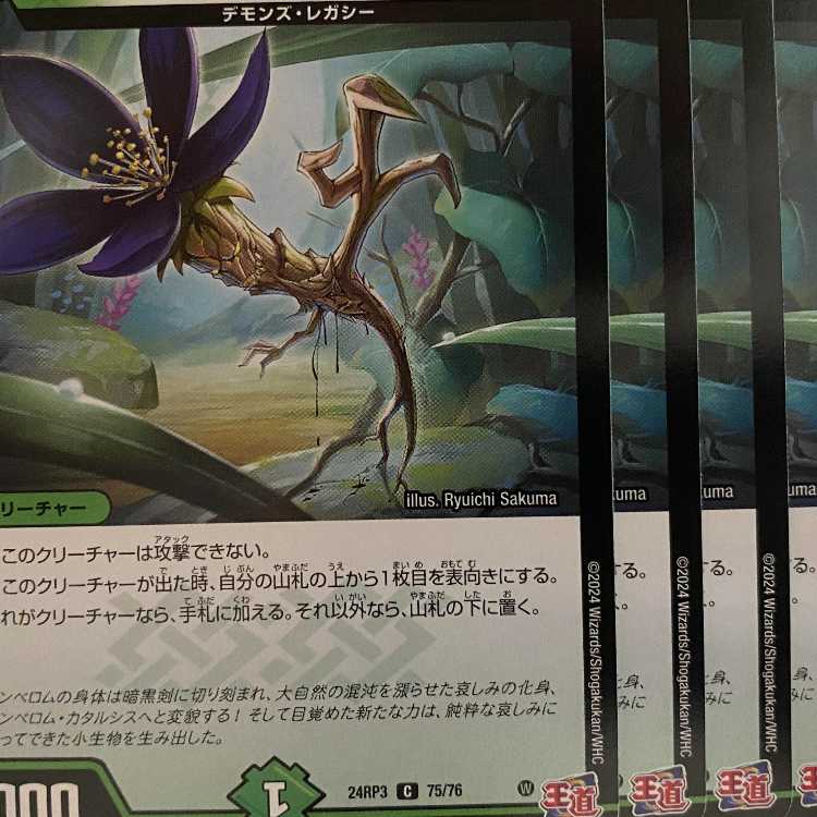 24RP3C75 Liju, Koshin 4 sheets