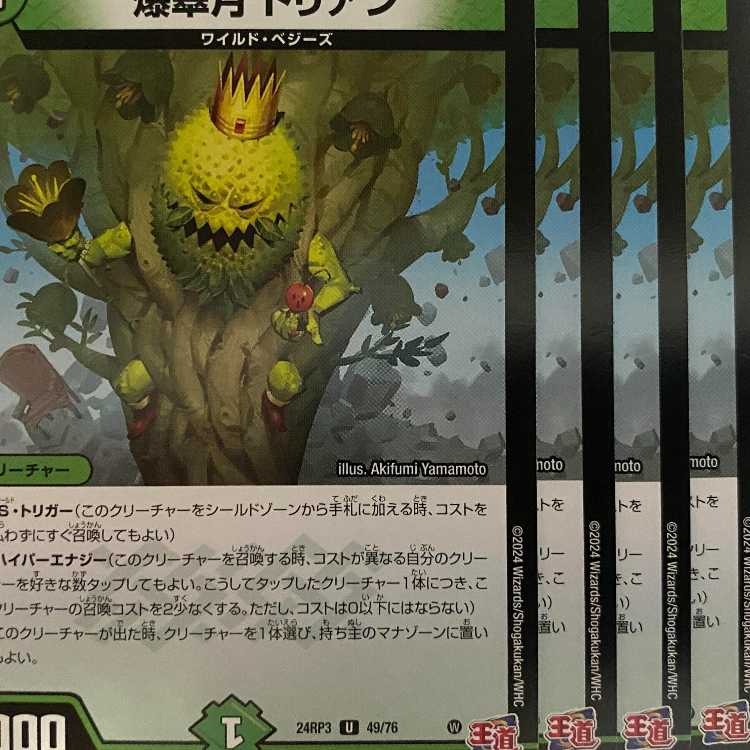 24RP3U49 爆翠月 ドリアン 4枚