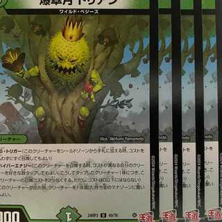 24RP3U49 爆翠月 ドリアン 4枚