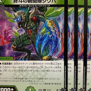 23EX3C71 4 sheets, SS Shiba, Endo