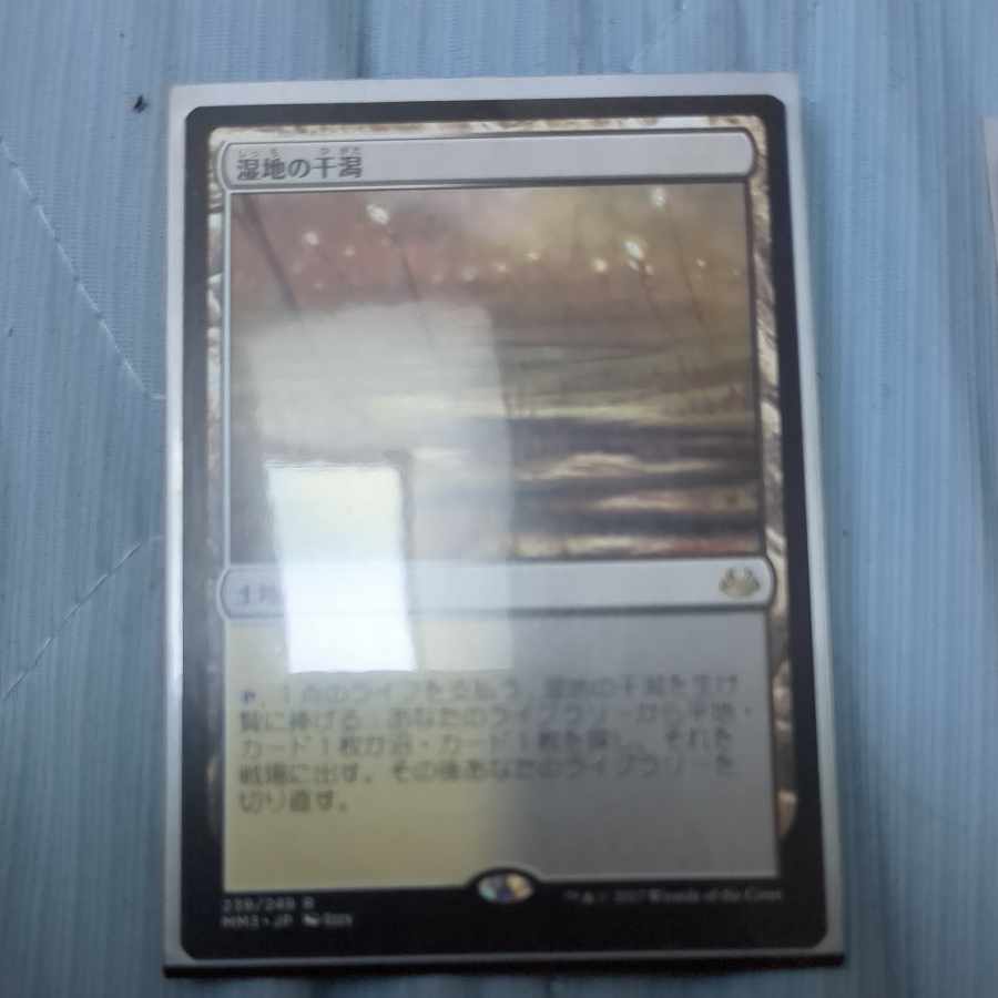 湿地の干潟 レア 248/303　日本語版