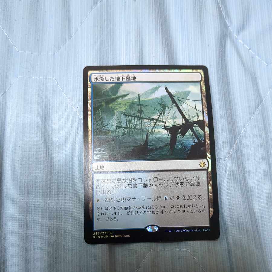 Drowned Catacomb rare 253/279 foil