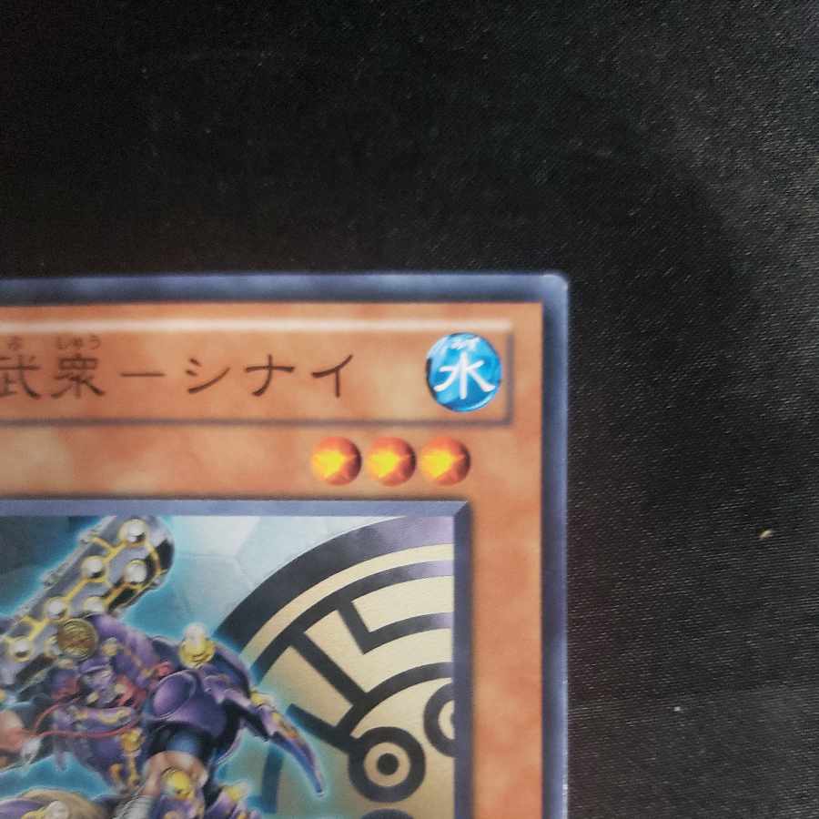 Shin Rokubushu - Sinai Normal JP023