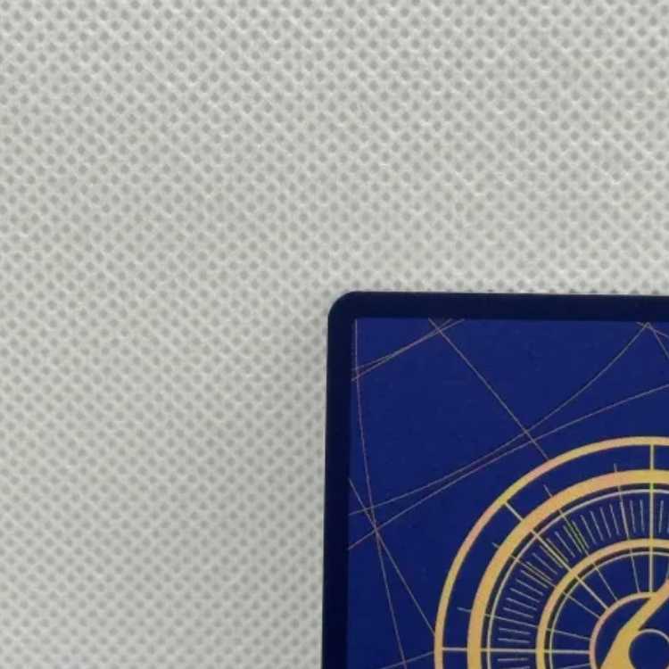 Onami (parallel) P-R OP06-101