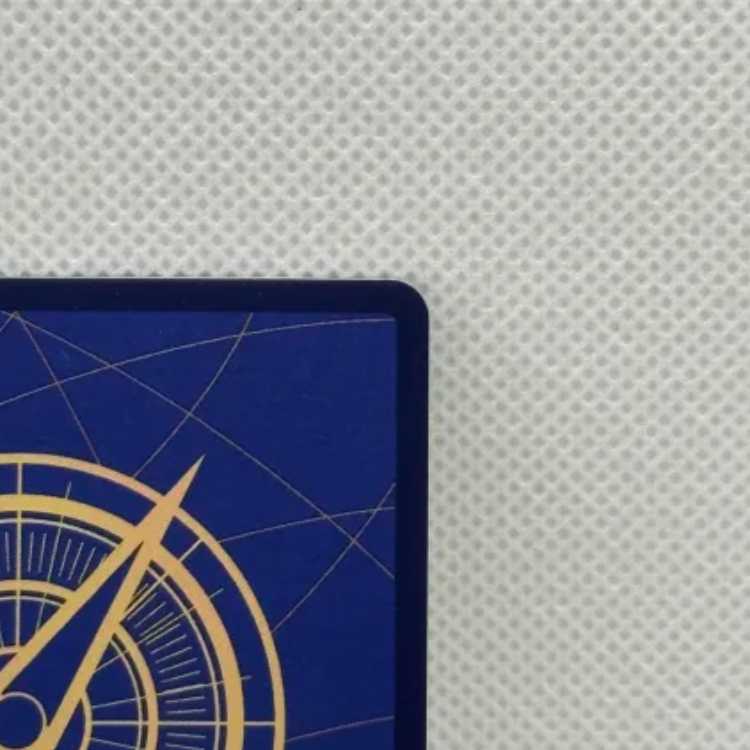 Onami (parallel) P-R OP06-101