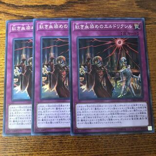 紅き血染めのエルドリクシル その他　マホ子