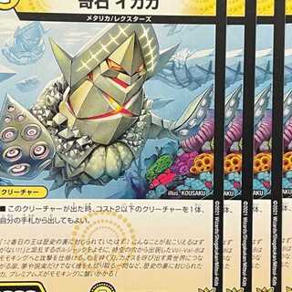 RP19-075 奇石 イカガ 4枚