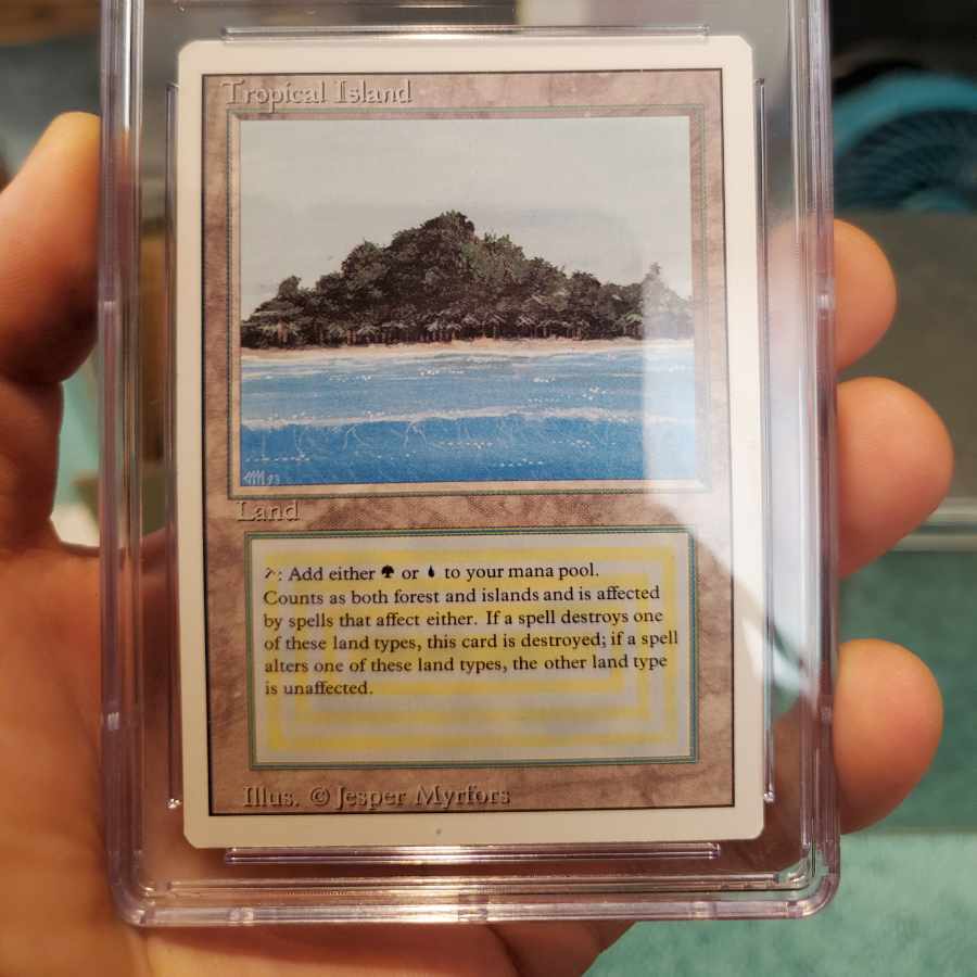 Tropical island English Revised 3ED CGC appraisal 8.5