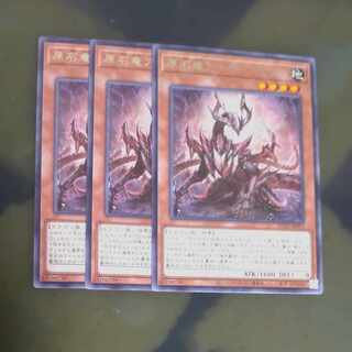 Rare SUDA-JP015✕3 [Korindo