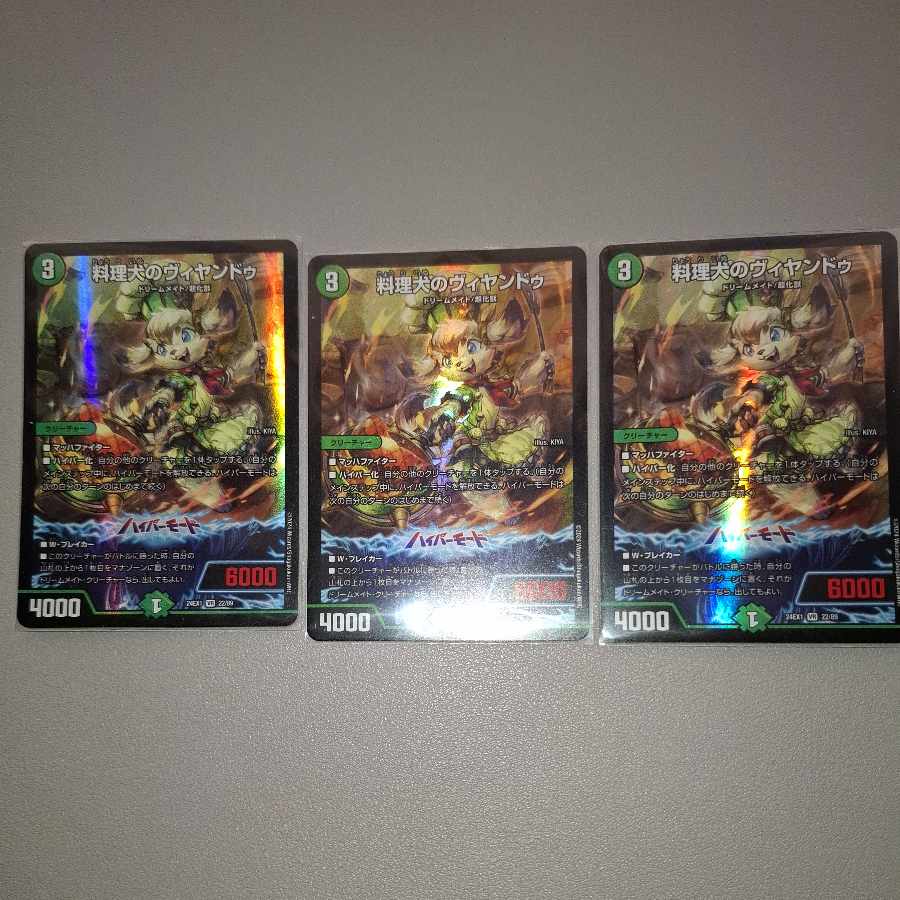 Cooking dog Vyandu VR 22/89