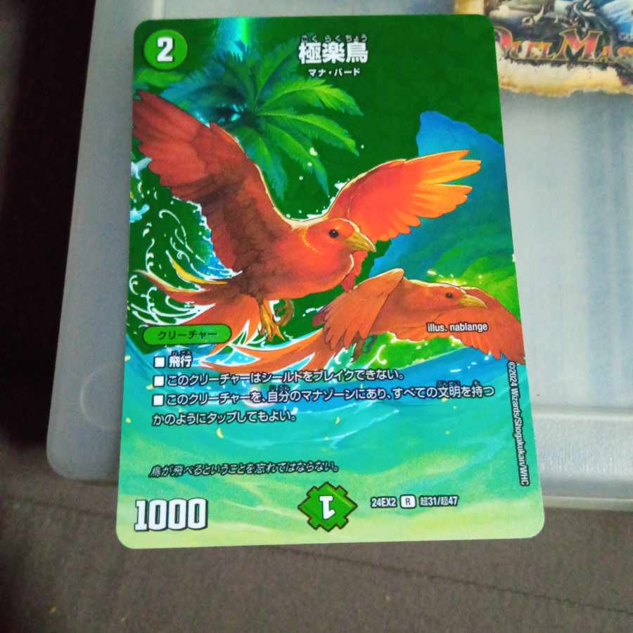 セット割引 極楽鳥 R-foil 超31/超47