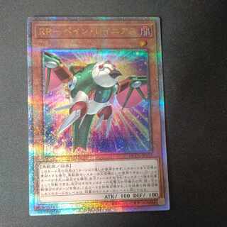 RR-Pain Rainiers QCSE, 25th Sikh QCCU-JP155