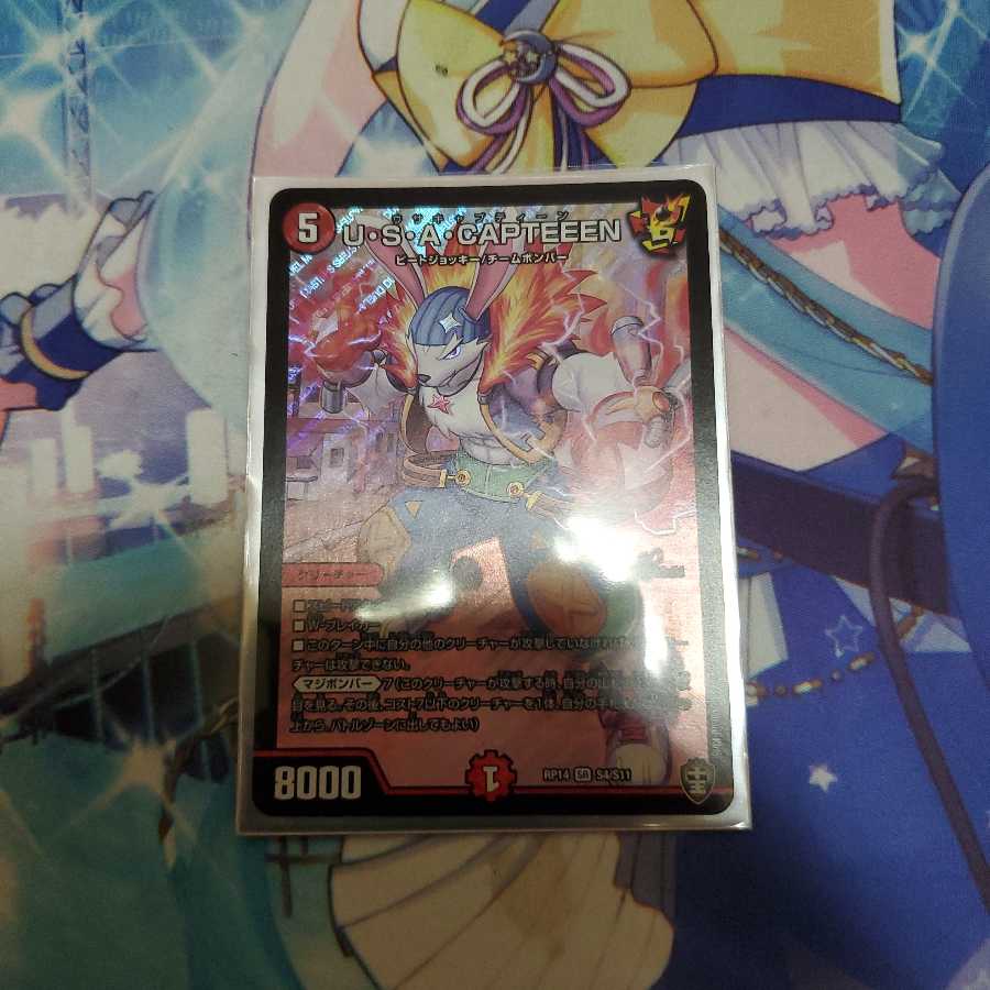 白机様専用 1枚